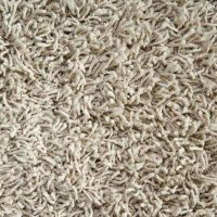 172266511-56a812353df78cf7729bde99