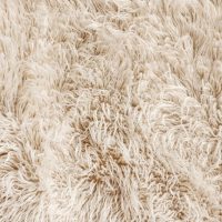 AdobeStock_85290517-1024x683