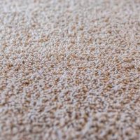 Carpet-Background